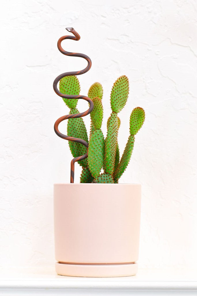 Carter + Rose, Plant Snake Stake Carter + Rose | Heirloom Boulevard