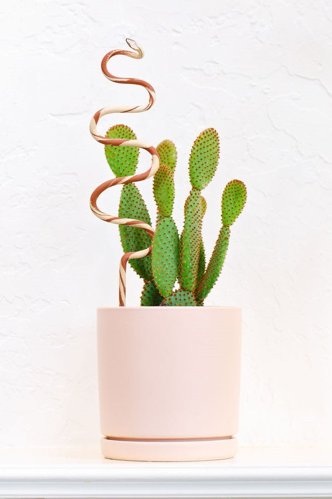 Carter + Rose, Plant Snake Stake Carter + Rose | Heirloom Boulevard