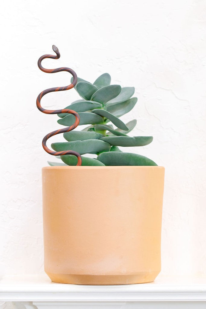 Carter + Rose, Plant Snake Stake Carter + Rose | Heirloom Boulevard