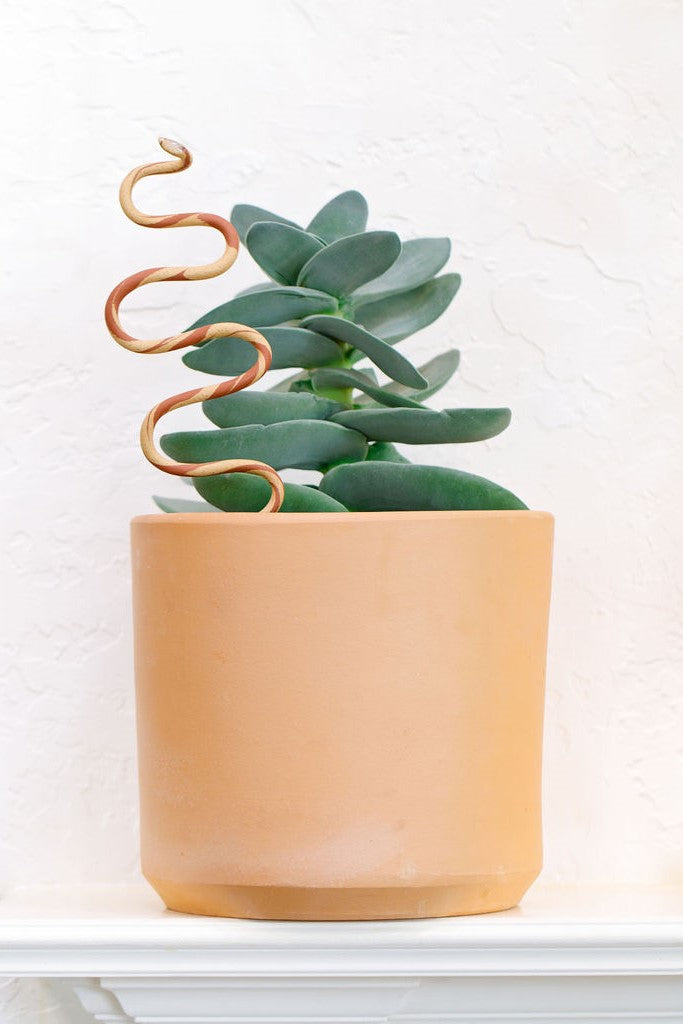 Carter + Rose, Plant Snake Stake Carter + Rose | Heirloom Boulevard