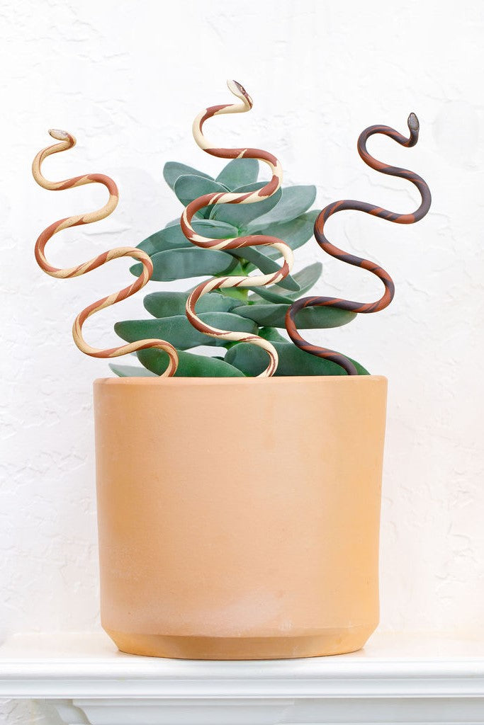 Carter + Rose, Plant Snake Stake Carter + Rose | Heirloom Boulevard