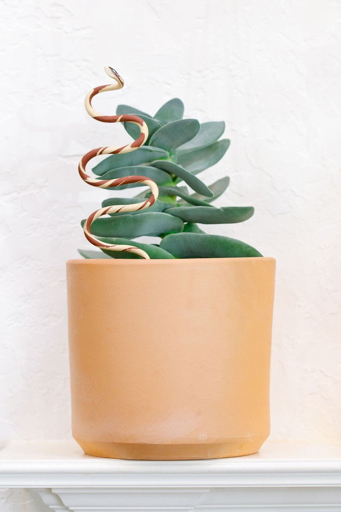 Carter + Rose, Plant Snake Stake Carter + Rose | Heirloom Boulevard