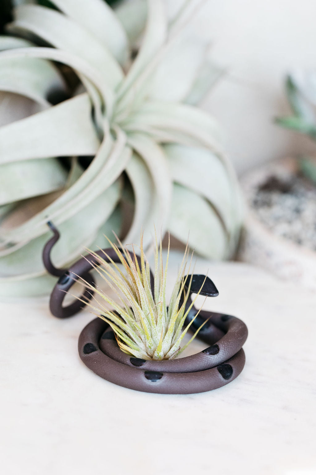 Carter + Rose Ceramic Snake, Medium Carter + Rose | Heirloom Boulevard