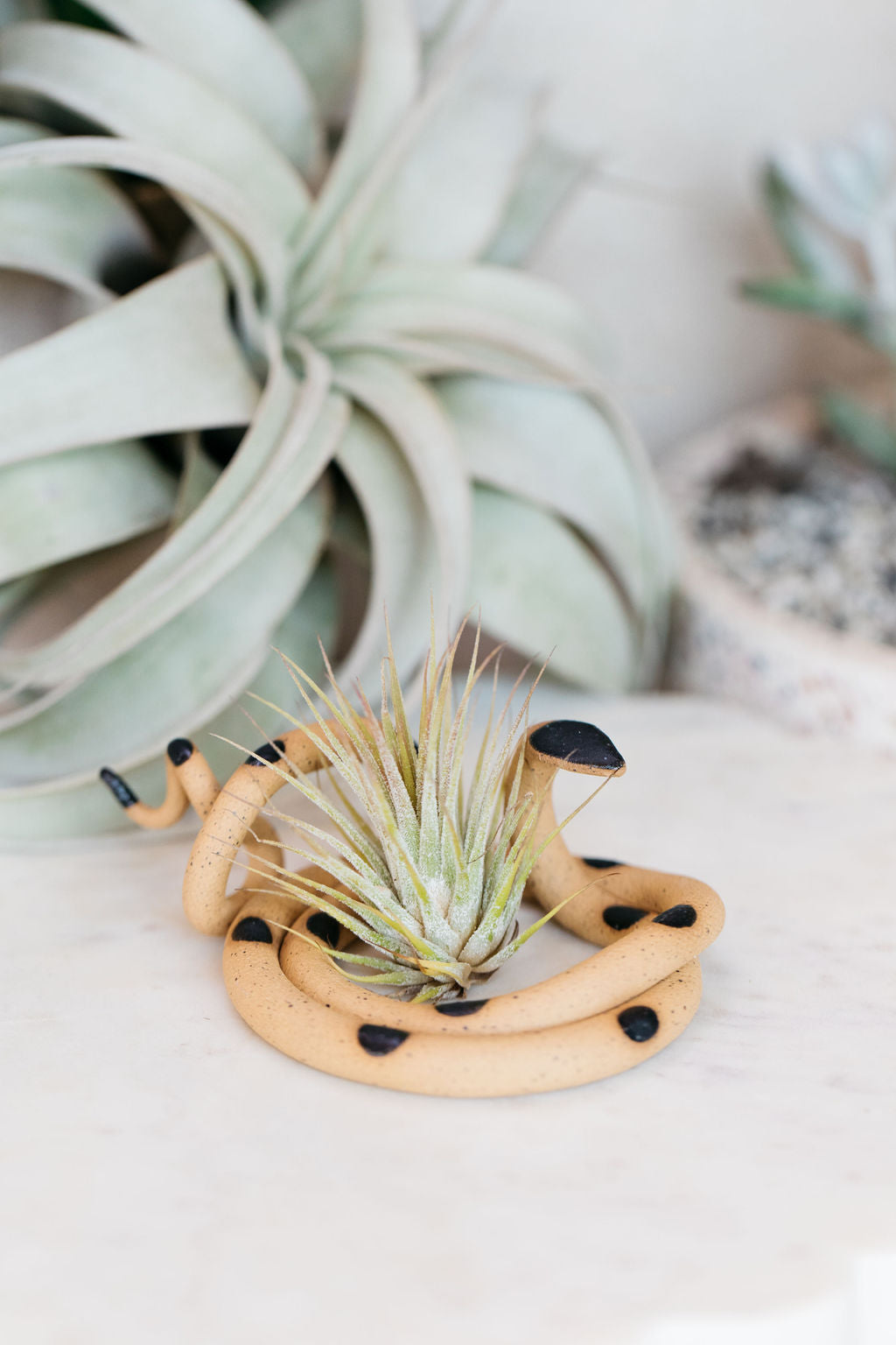 Carter + Rose Ceramic Snake, Medium Carter + Rose | Heirloom Boulevard