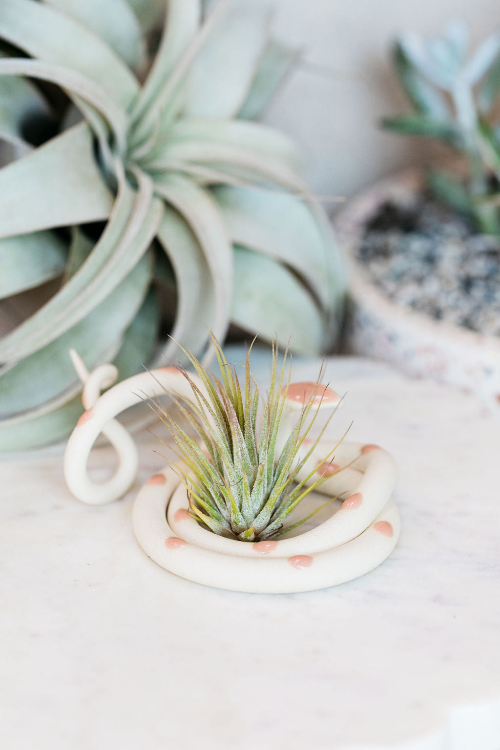 Carter + Rose Ceramic Snake, Medium Carter + Rose | Heirloom Boulevard
