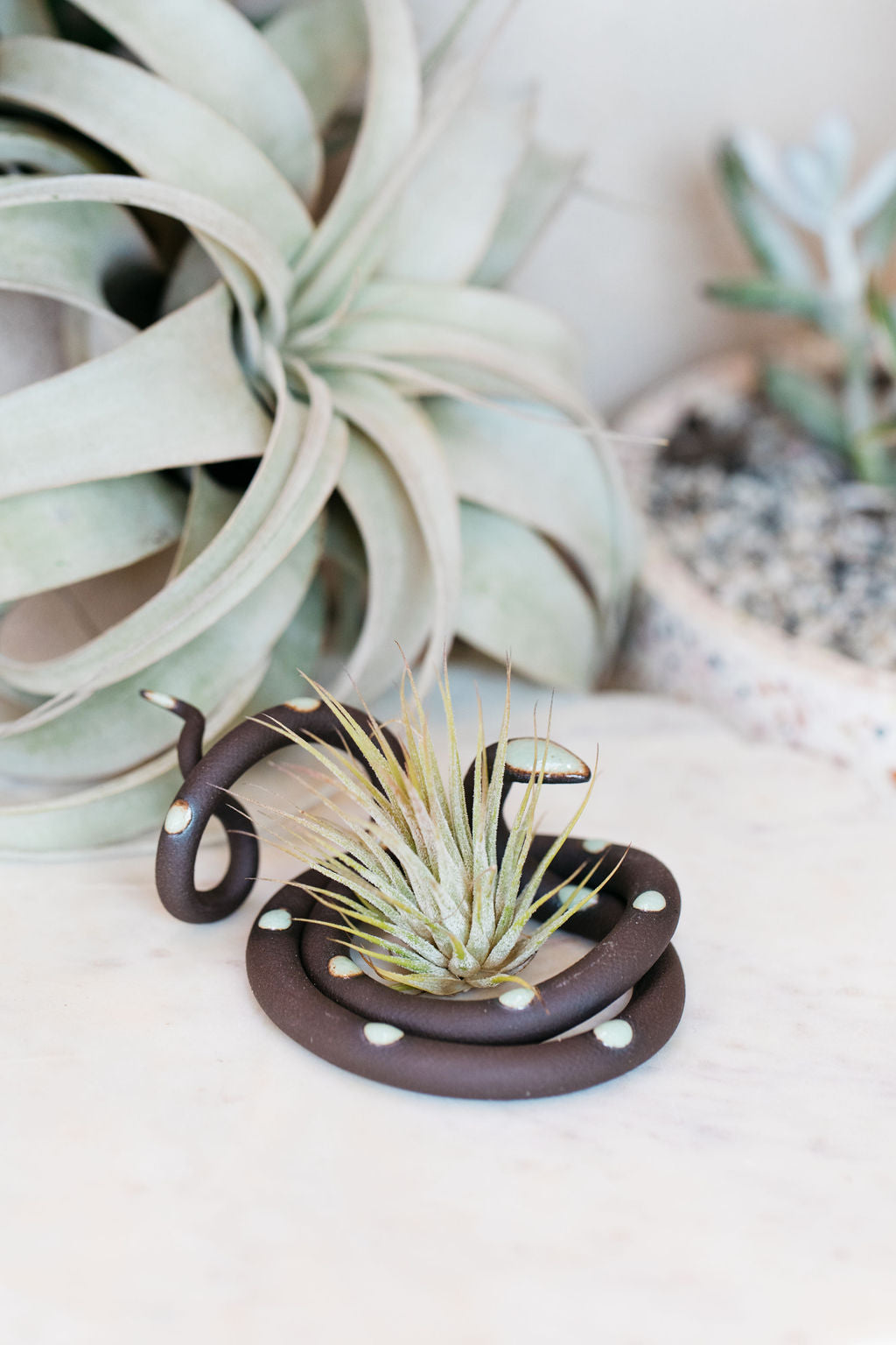 Carter + Rose Ceramic Snake, Medium Carter + Rose | Heirloom Boulevard
