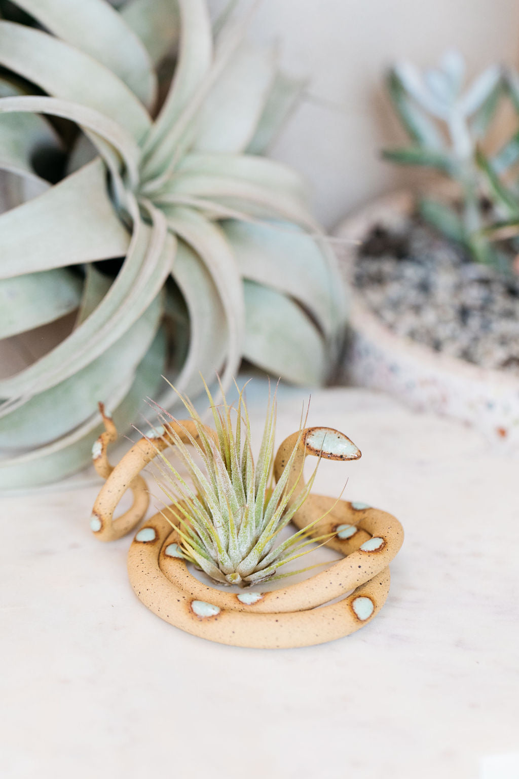 Carter + Rose Ceramic Snake, Medium Carter + Rose | Heirloom Boulevard