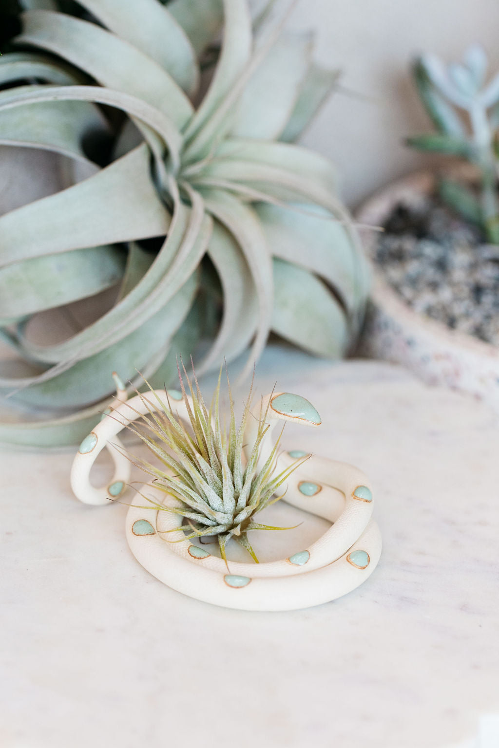 Carter + Rose Ceramic Snake, Medium Carter + Rose | Heirloom Boulevard