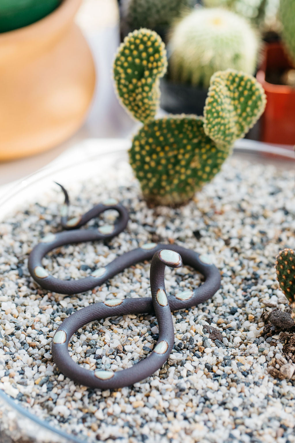 Carter + Rose Ceramic Snake, Small | Heirloom Boulevard