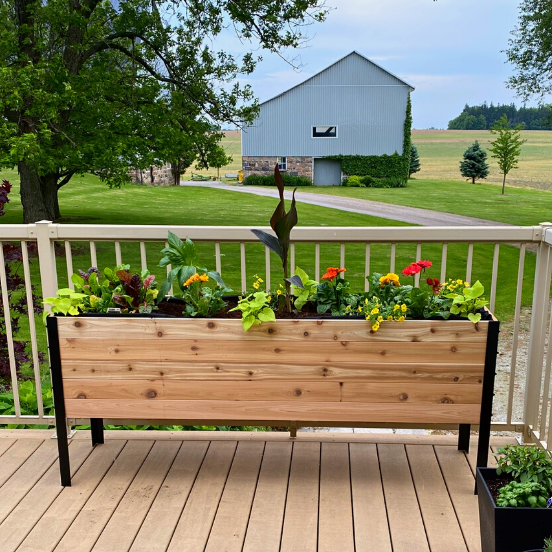 Cedar Planters 18" x 72" Raised Garden Bed - 30" TALL | Heirloom Boulevard