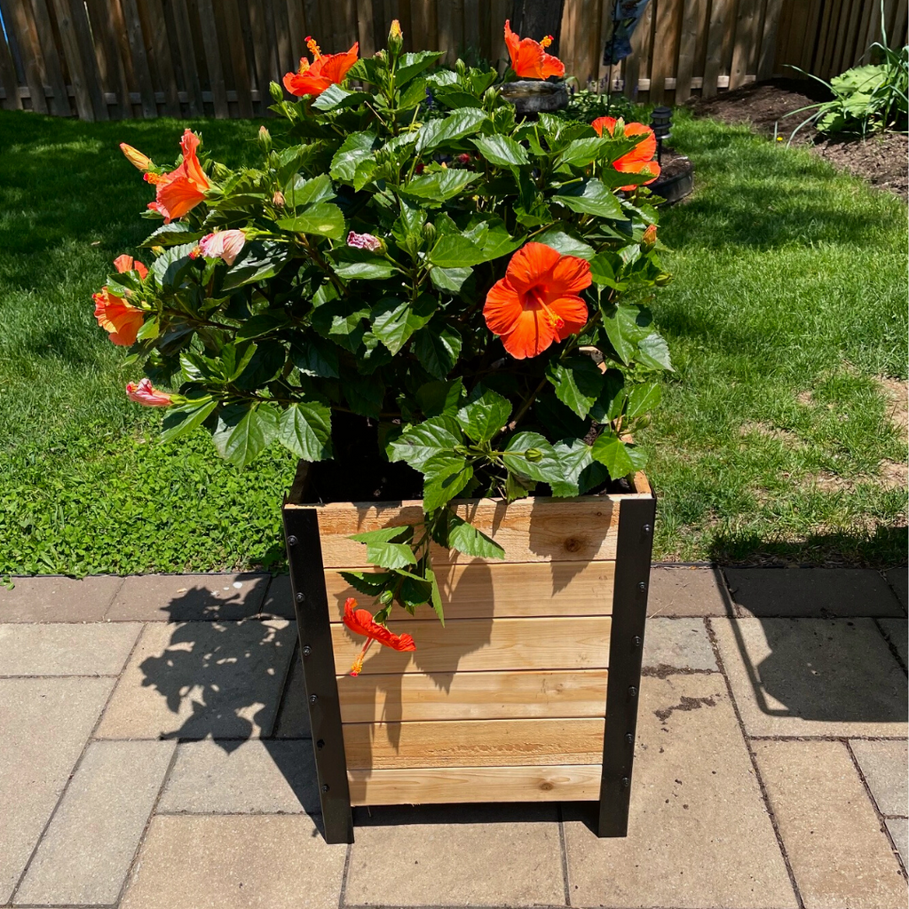 Cedar Planters 18″ x 18″ Planter Box - 24" TALL | Heirloom Boulevard