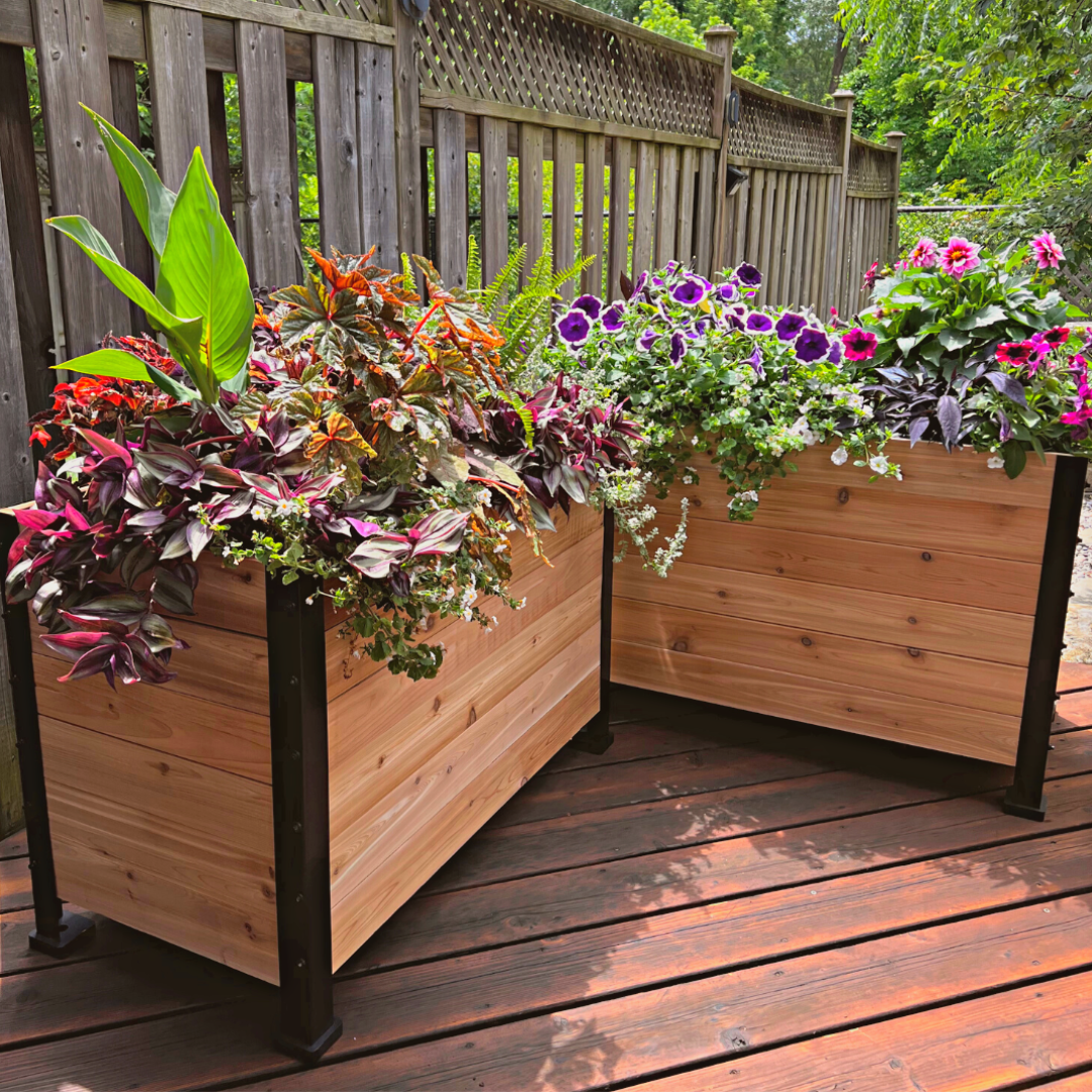 Cedar Planters 18" x 36" Planter Box - 24" TALL | Heirloom Boulevard