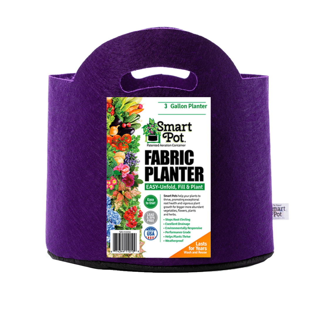 Smart Pot Fabric Planter 3 Gallon Bright Violet With Handles | Heirloom Boulevard