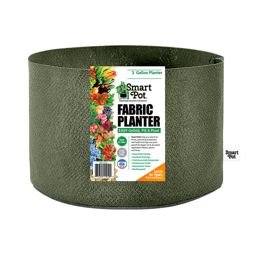 Smart Pot Fabric Planter 3 Gallon Forest Green Without Handles | Heirloom Boulevard