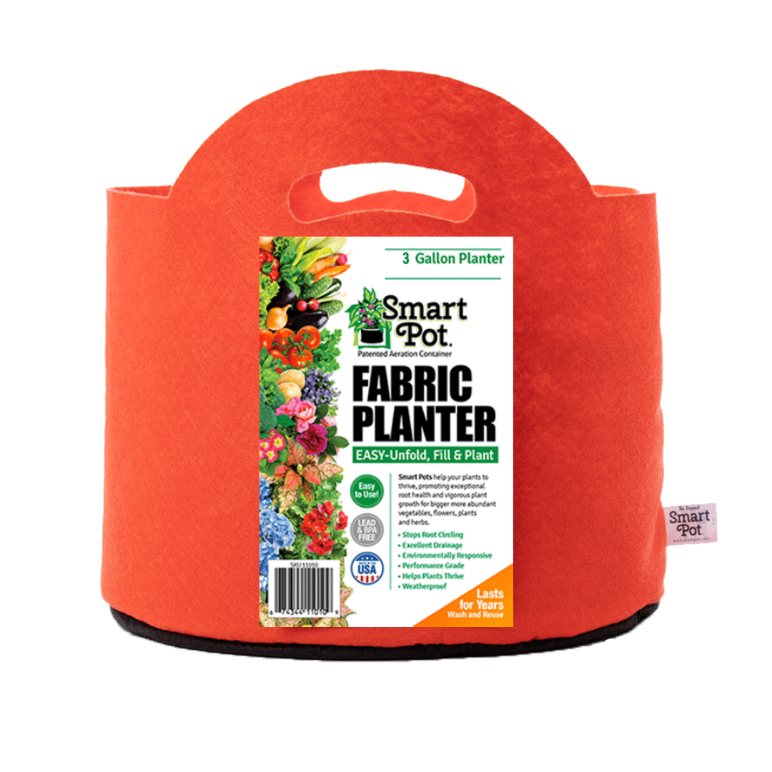 Smart Pot Fabric Planter 3 Gallon Mandarin Orange With Handles | Heirloom Boulevard