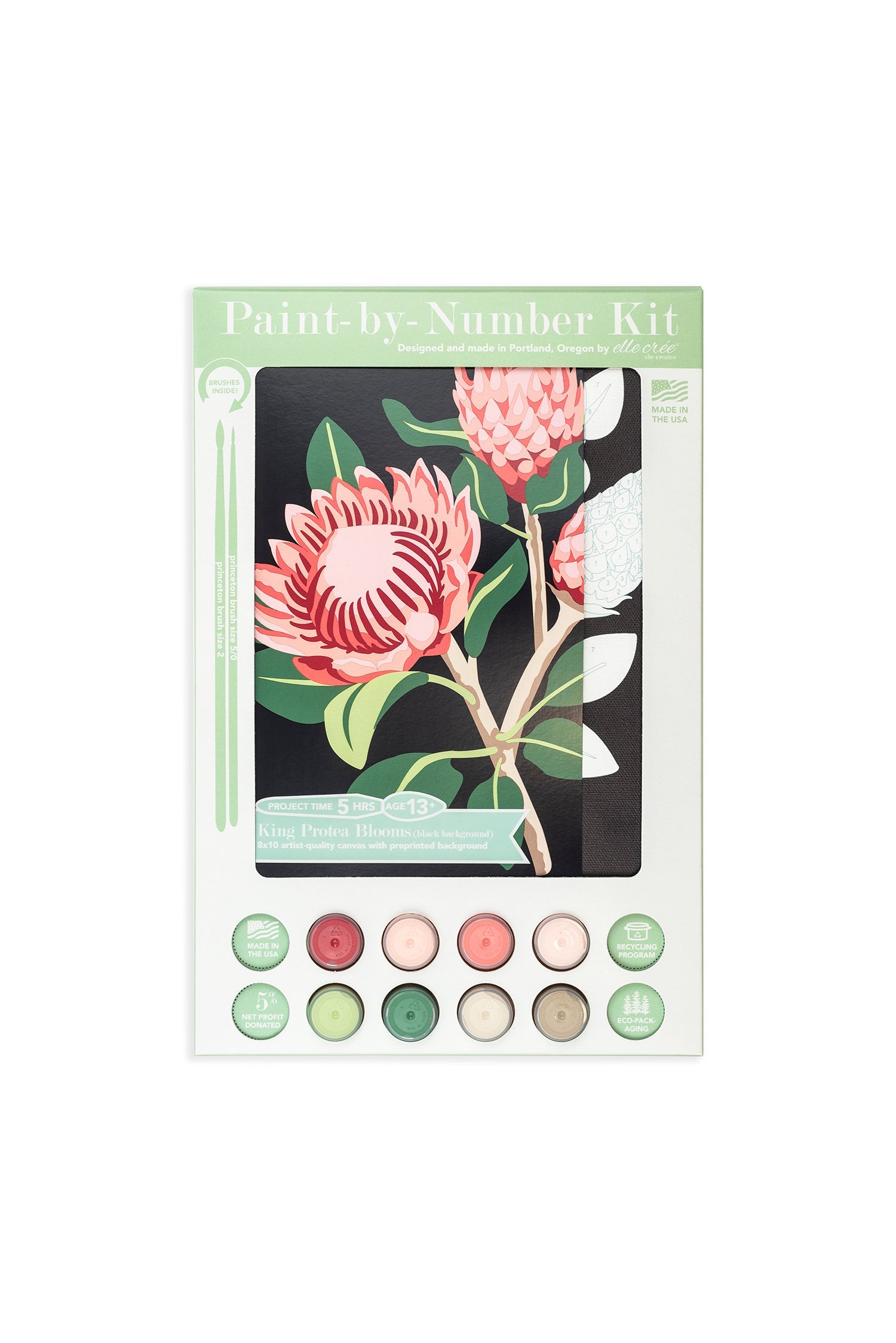 Elle Crée King Protea Blooms (black background) | 8x10 paint-by-number kit | Heirloom Boulevard