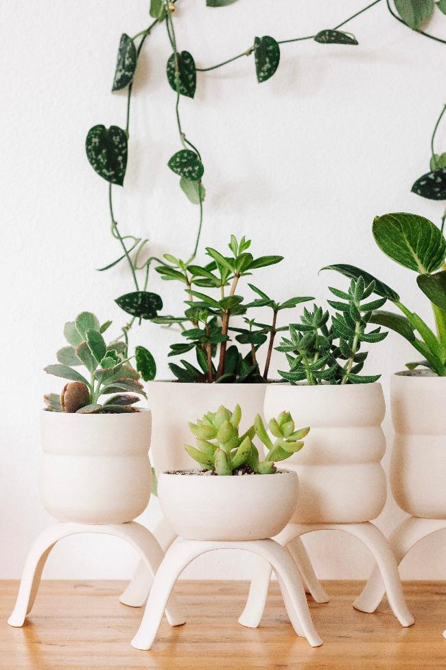 Carter + Rose High Rise Plant Pots Carter + Rose | Heirloom Boulevard