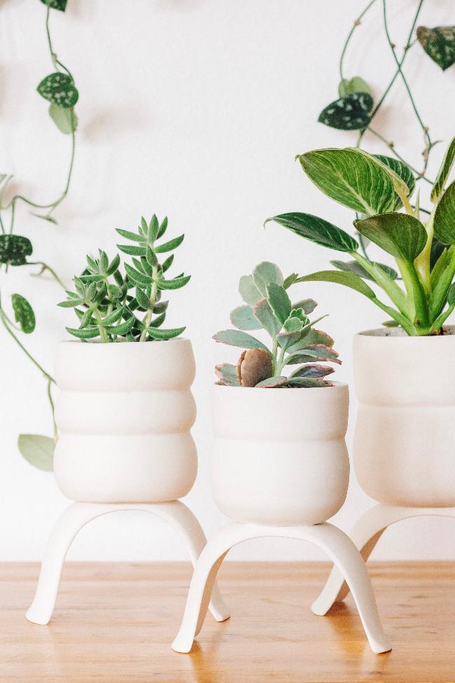 Carter + Rose High Rise Plant Pots Carter + Rose | Heirloom Boulevard