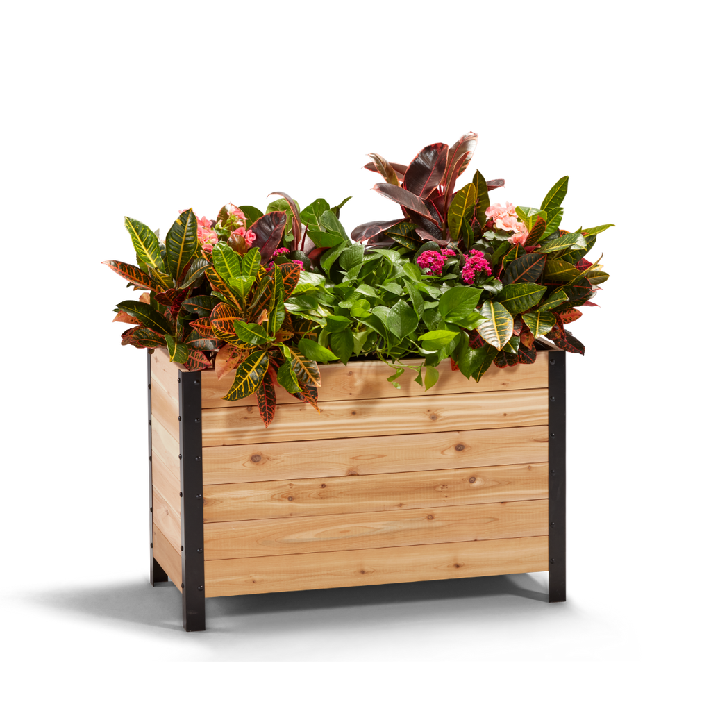 Cedar Planters 18" x 36" Planter Box - 24" TALL | Heirloom Boulevard