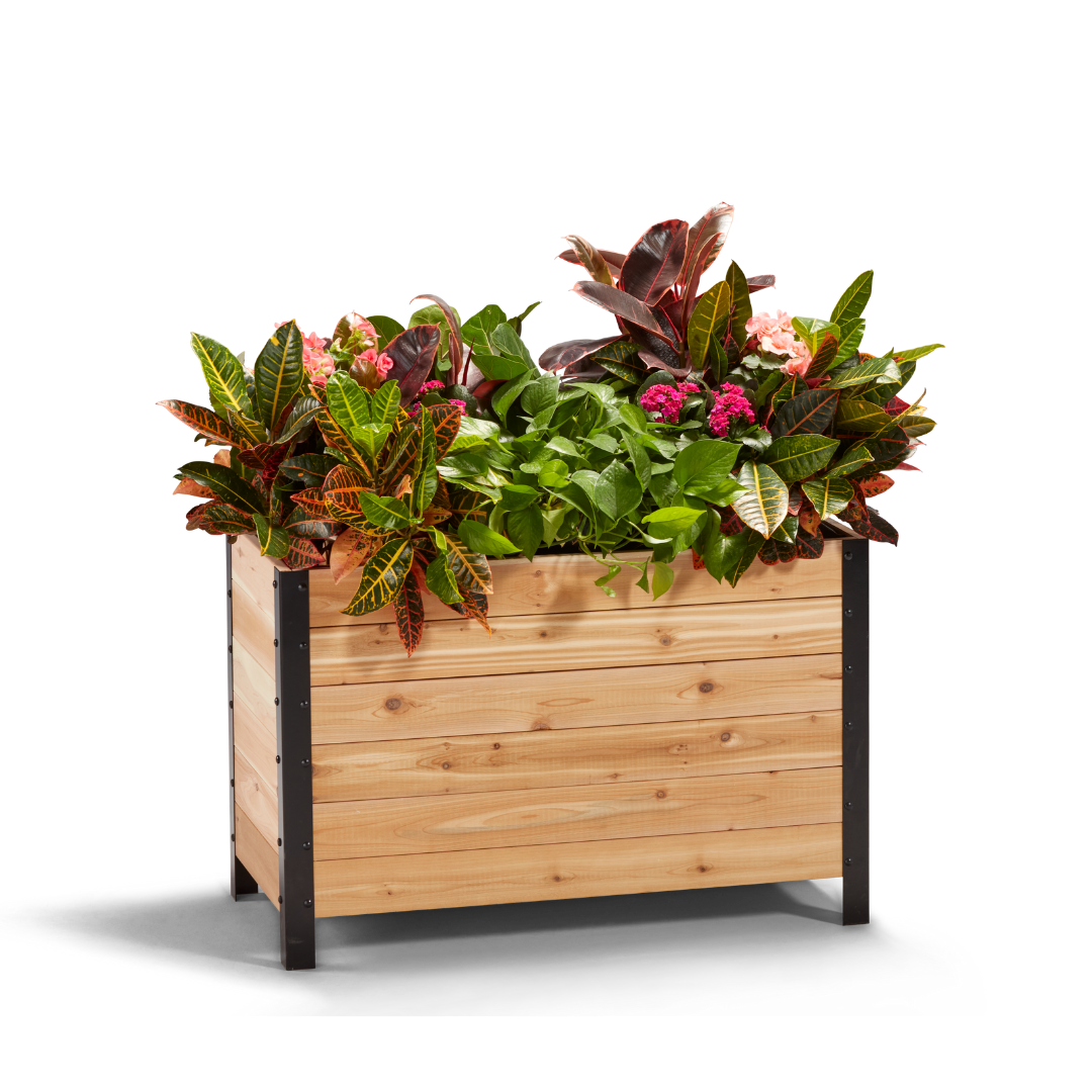 Cedar Planters 18" x 36" Planter Box - 24" TALL | Heirloom Boulevard