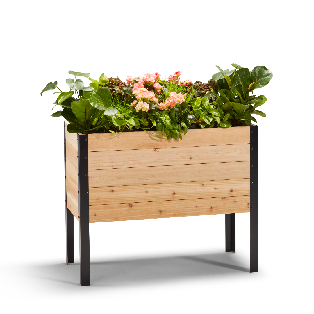 Cedar Planters 18" x 36" Raised Garden Bed - 30" TALL | Heirloom Boulevard