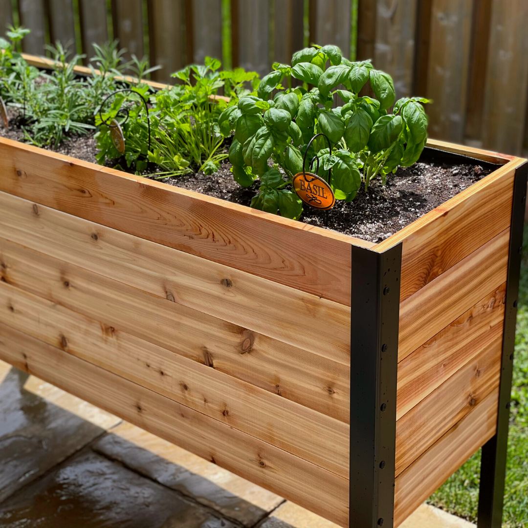 Cedar Planters 18" x 48" Raised Garden Bed - 30" TALL | Heirloom Boulevard