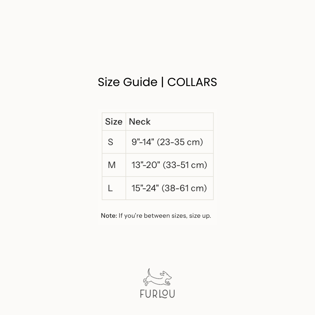 'Tan' - Canvas Dog Collar FURLOU | Heirloom Boulevard