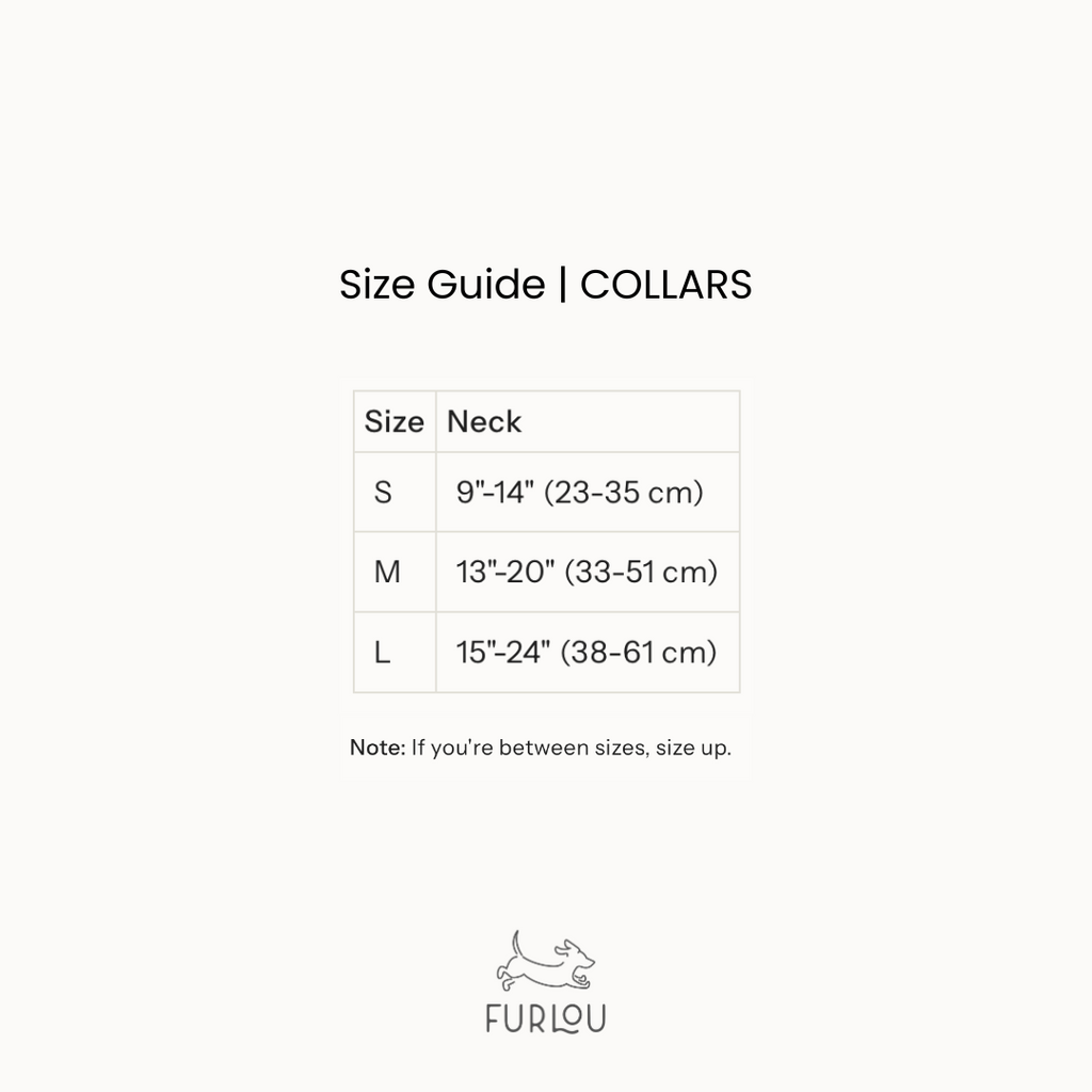 'Black' - Canvas Dog Collar
