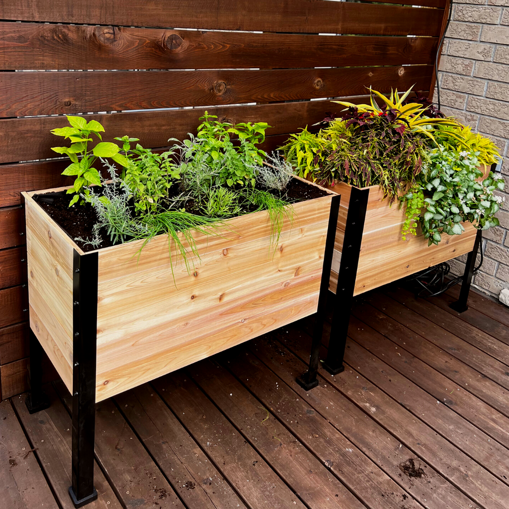 Cedar Planters 18" x 36" Raised Garden Bed - 30" TALL | Heirloom Boulevard