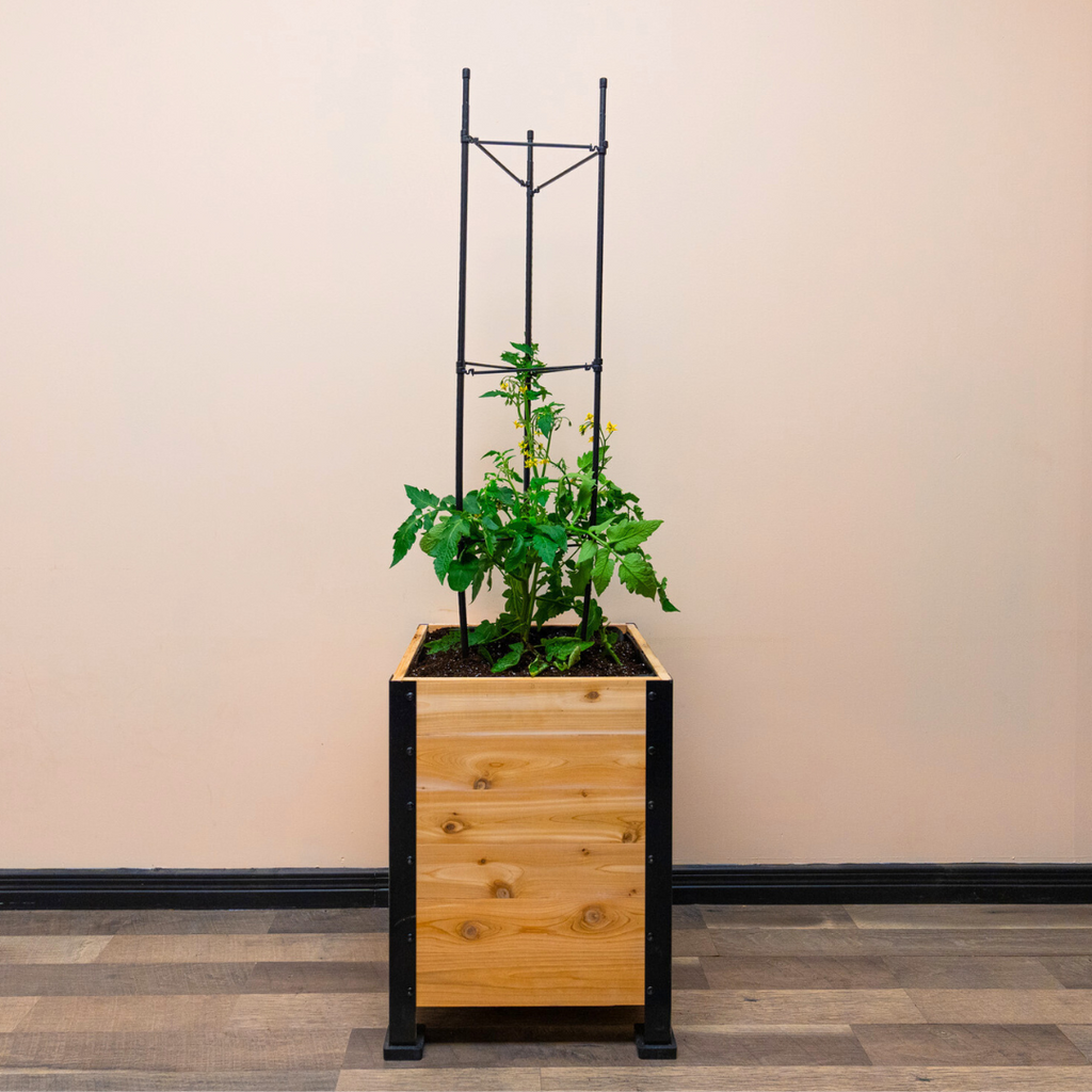 Cedar Planters Vegetable Cage | Heirloom Boulevard