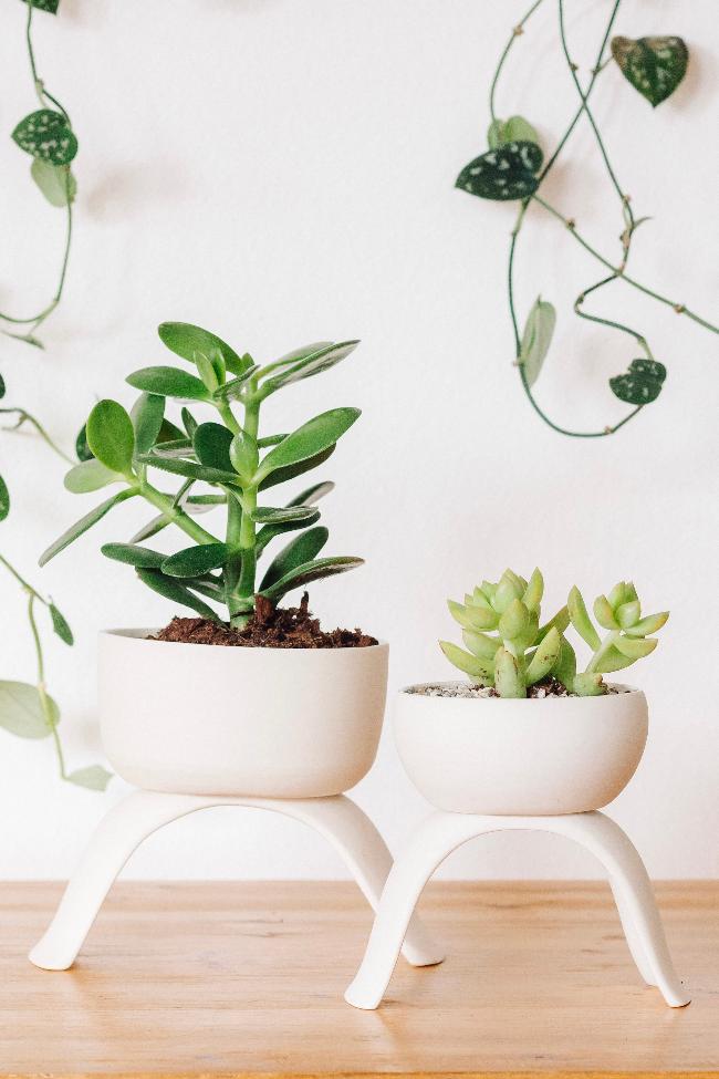 Carter + Rose High Rise Plant Pots Carter + Rose | Heirloom Boulevard