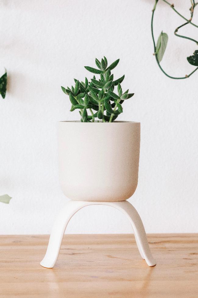 Carter + Rose High Rise Plant Pots Carter + Rose | Heirloom Boulevard