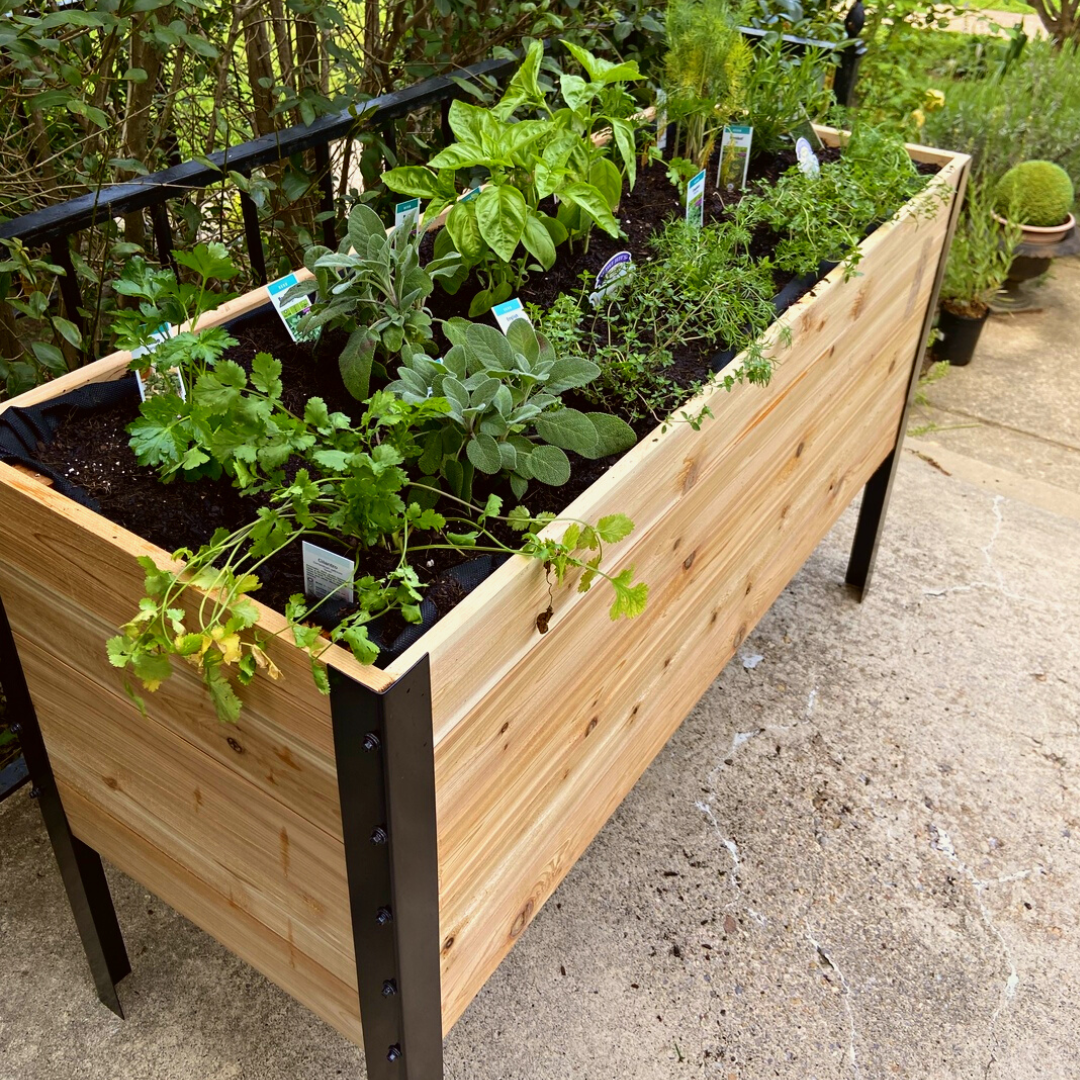 Cedar Planters 18" x 48" Raised Garden Bed - 30" TALL | Heirloom Boulevard