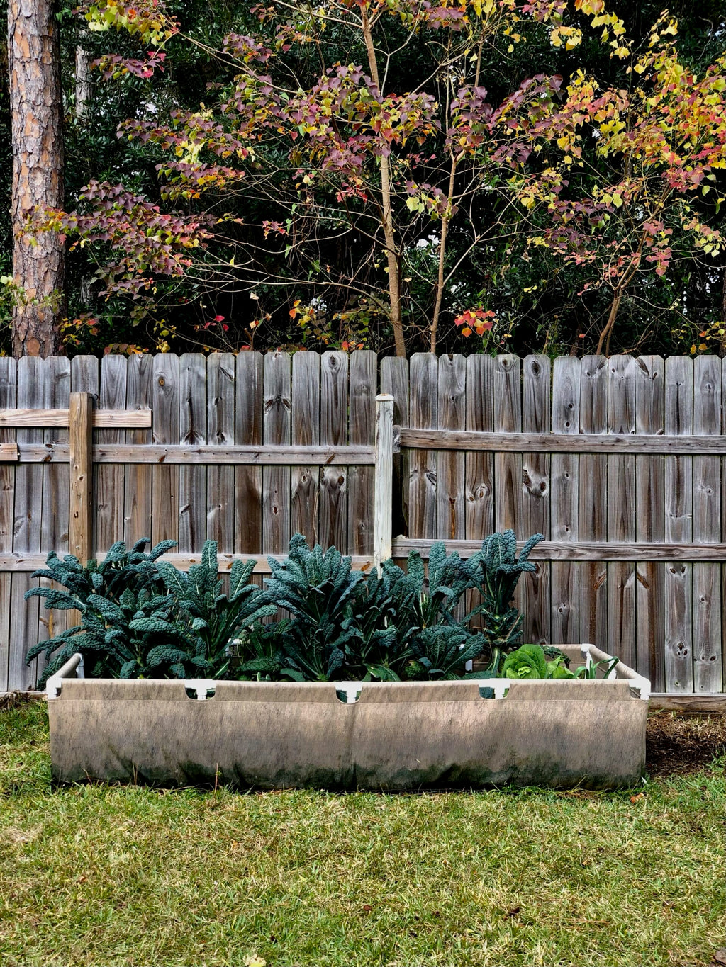 Smart Pot Urban Raised Bed | Heirloom Boulevard
