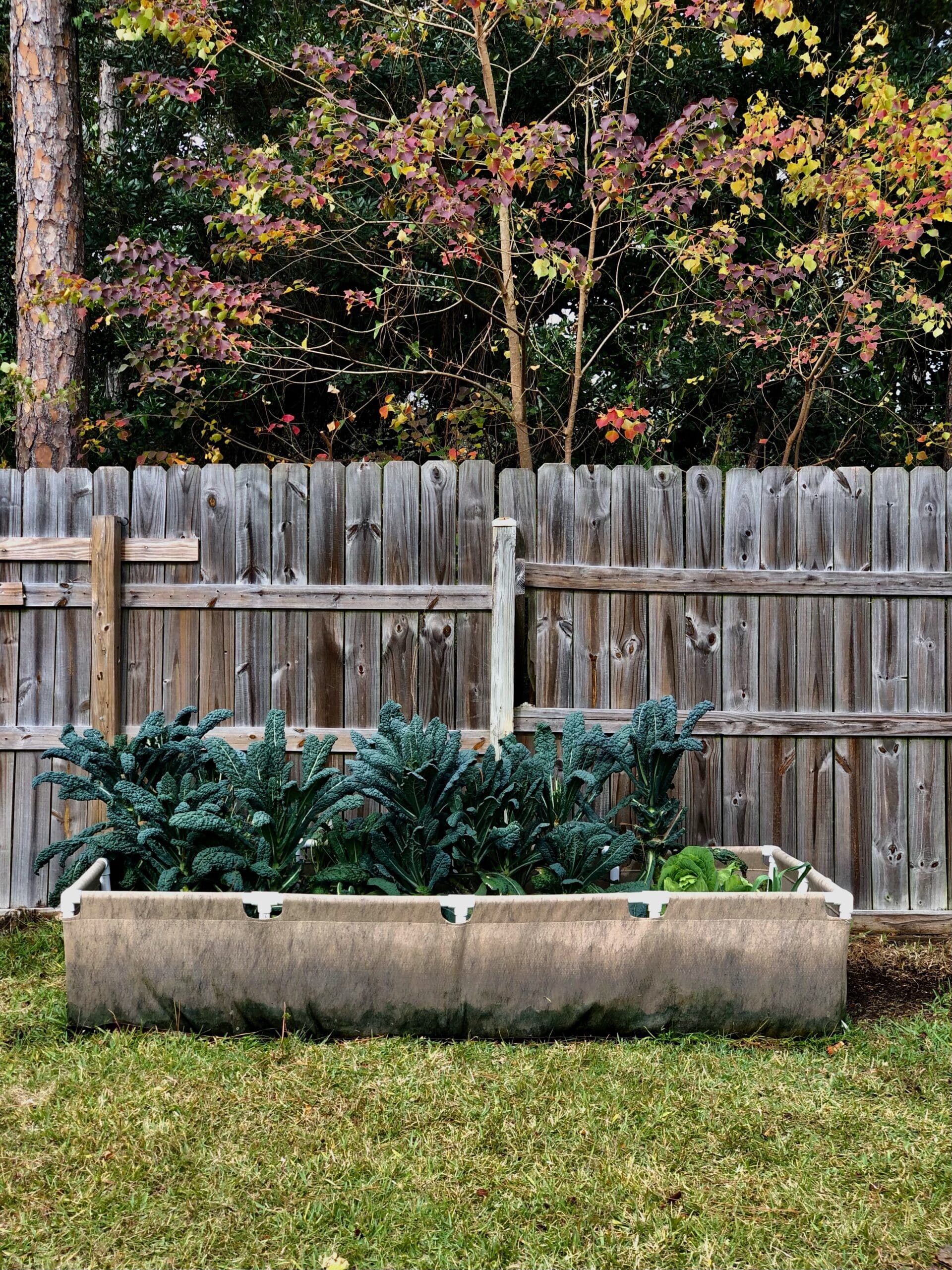 Smart Pot Urban Raised Bed | Heirloom Boulevard