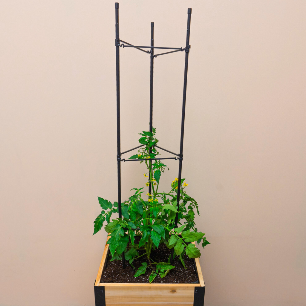 Cedar Planters Vegetable Cage | Heirloom Boulevard
