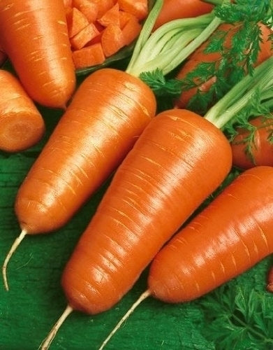 Seattle Seed Company Carrots - Chantenay Red Core | Heirloom Boulevard