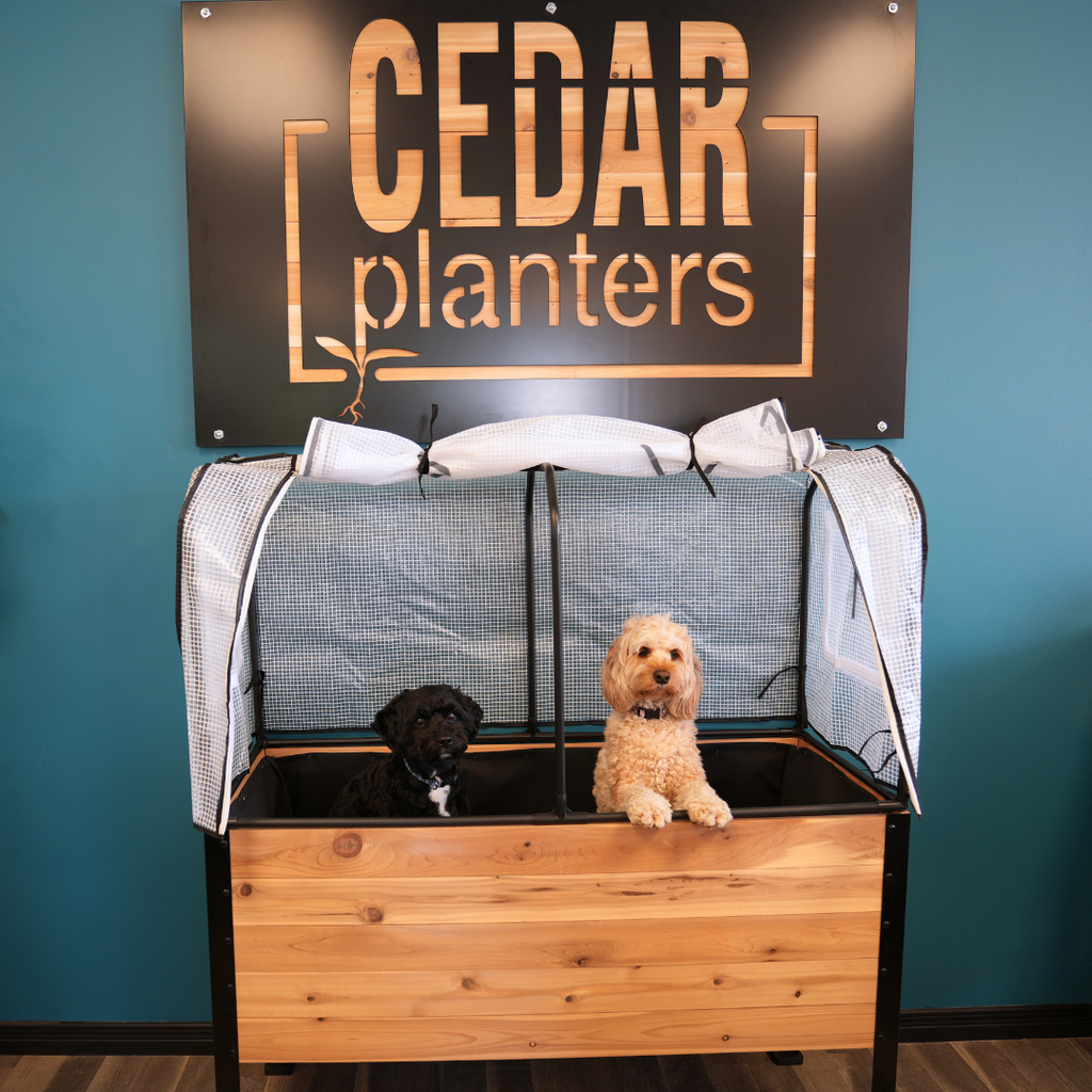 Cedar Planters Greenhouse Cover | Heirloom Boulevard