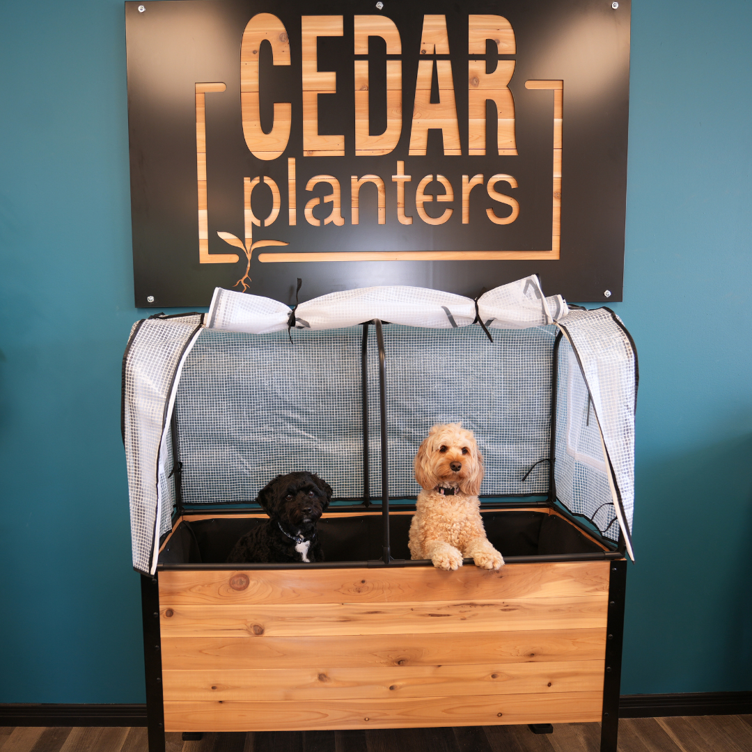 Cedar Planters Greenhouse Cover | Heirloom Boulevard