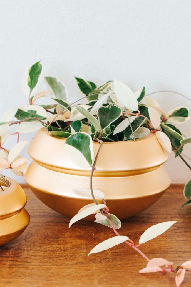 Carter + Rose Halo Hanging Planter Carter + Rose | Heirloom Boulevard