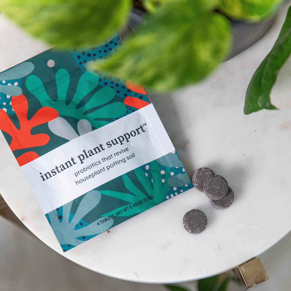 Instant Plant Food Instant Plant Support Tablets – 2 Pouches (4 Tablets per Pouch) - Plant ProBiotics for HOUSEPLANTS | Heirloom Boulevard