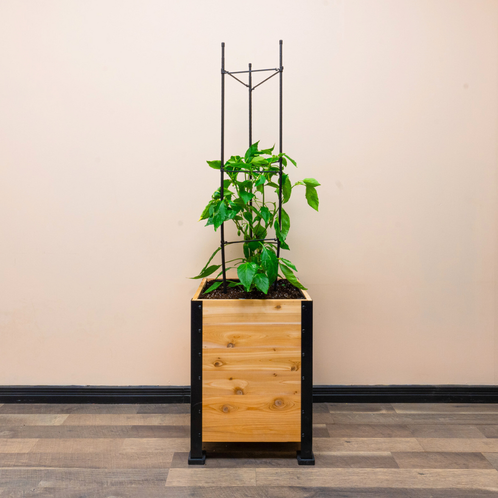 Cedar Planters Vegetable Cage | Heirloom Boulevard
