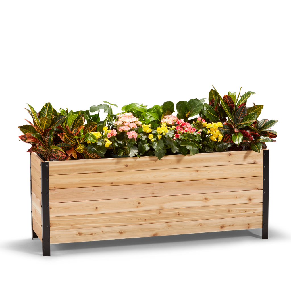 Cedar Planters 18" x 60" Planter Box - 24" TALL | Heirloom Boulevard