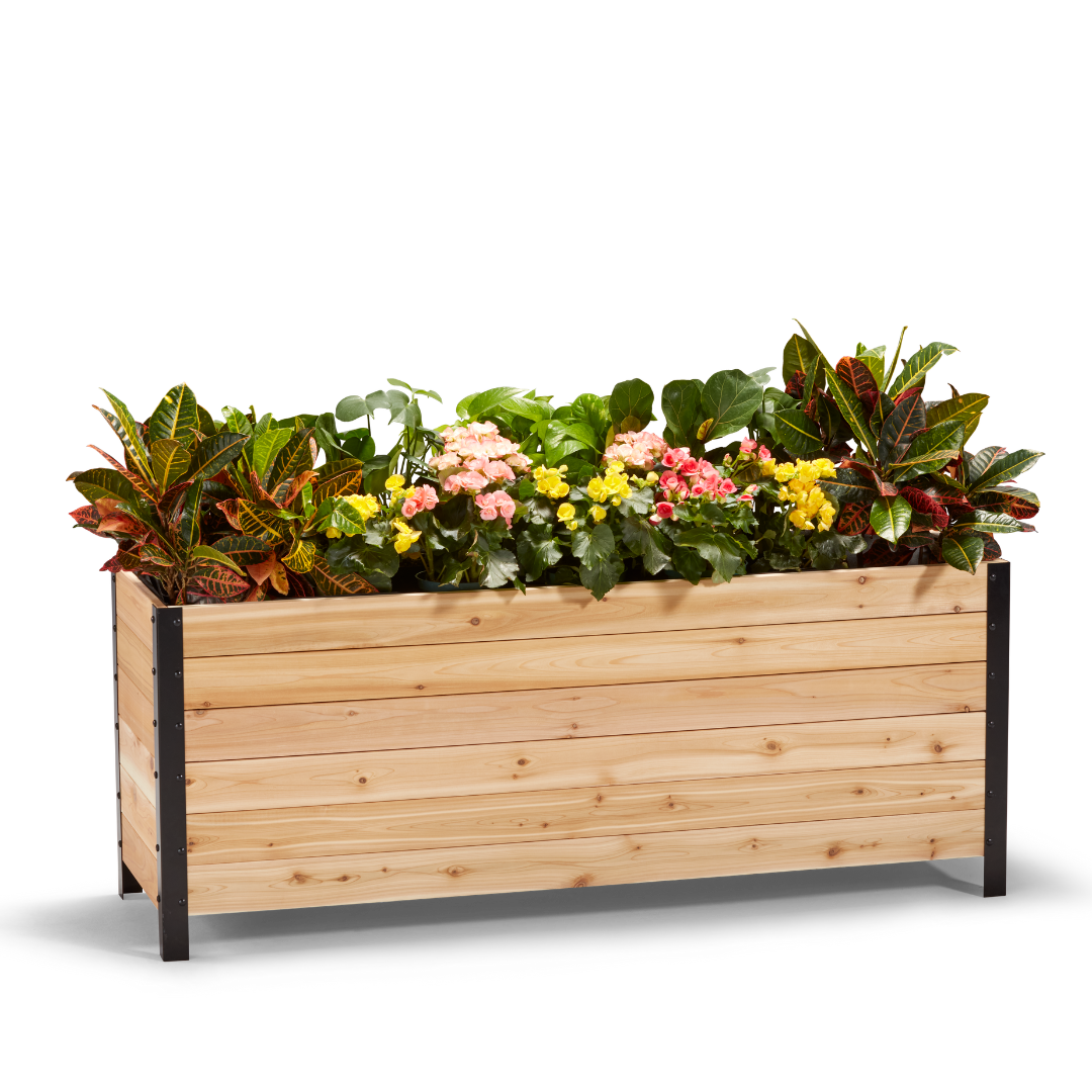 Cedar Planters 18" x 60" Planter Box - 24" TALL | Heirloom Boulevard