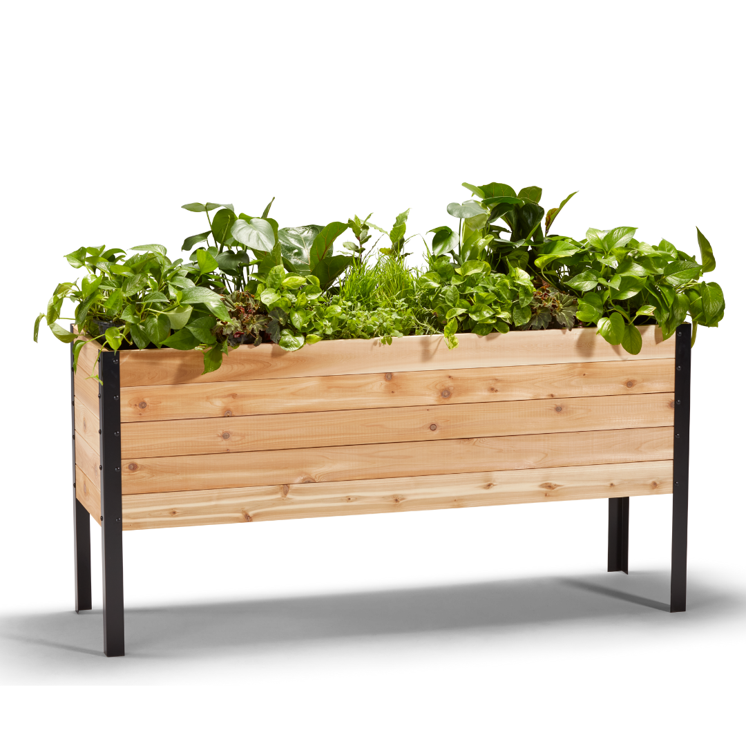 Cedar Planters 18" x 60" Raised Garden Bed - 30" TALL | Heirloom Boulevard