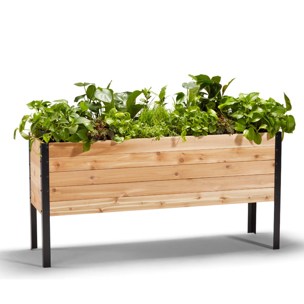 Cedar Planters 18" x 60" Raised Garden Bed - 30" TALL | Heirloom Boulevard