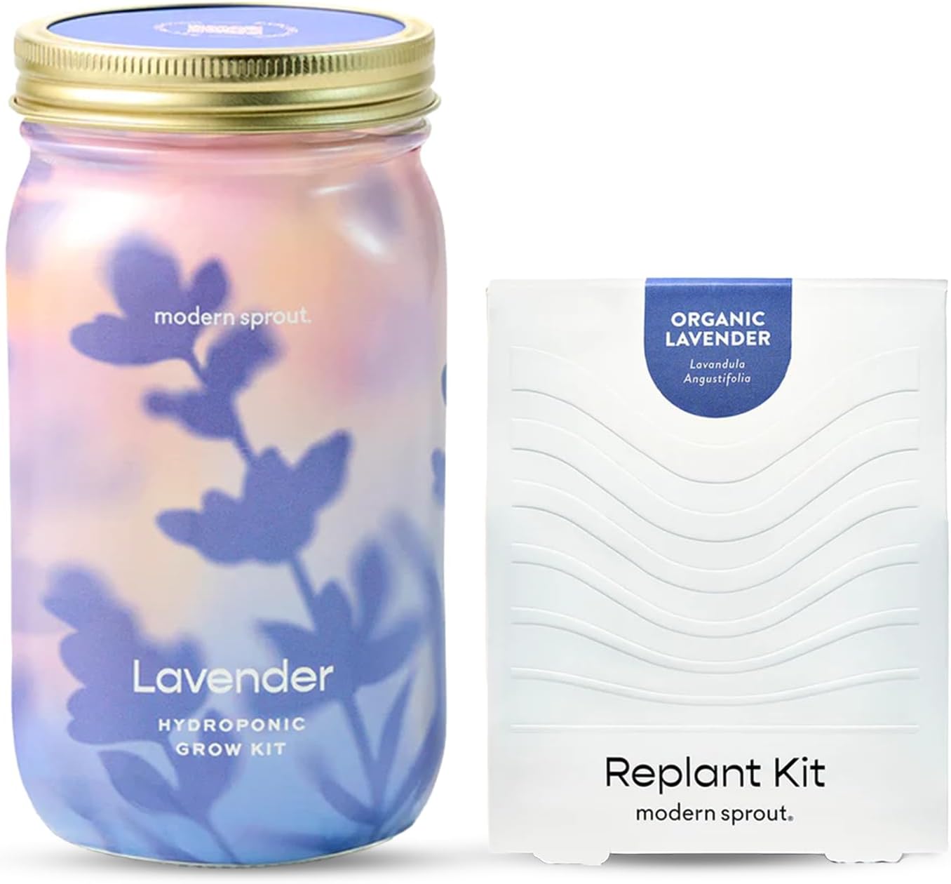 Modern Sprout Garden Jars - Organic Herbs Lavender 1pk - Replant Kit | Heirloom Boulevard