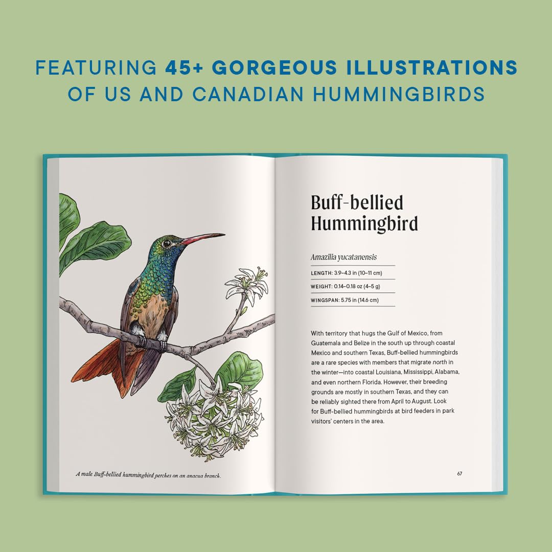 Little Book of Hummingbirds | Heirloom Boulevard