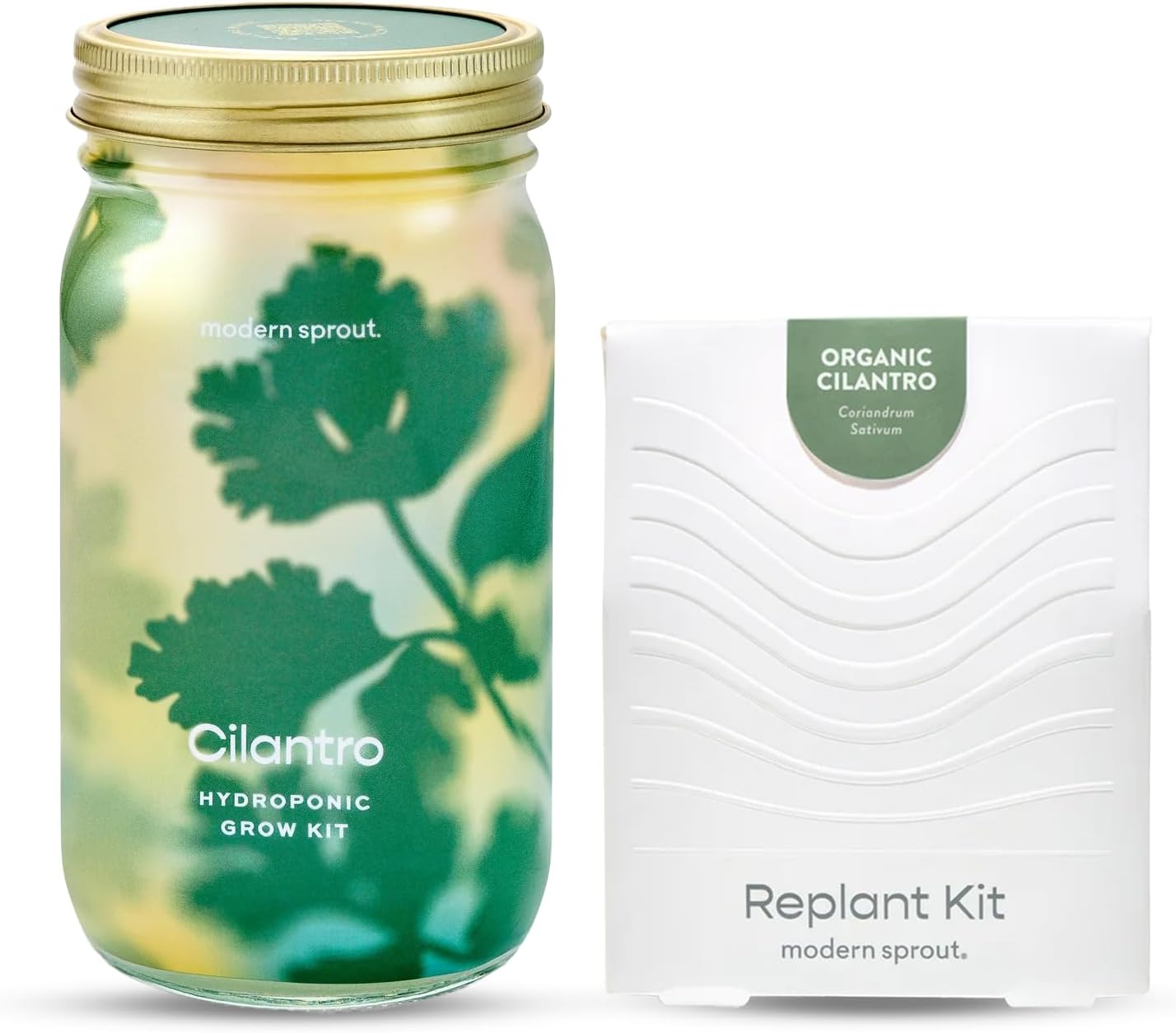 Modern Sprout Garden Jars - Organic Herbs Cilantro 1pk - Replant Kit | Heirloom Boulevard