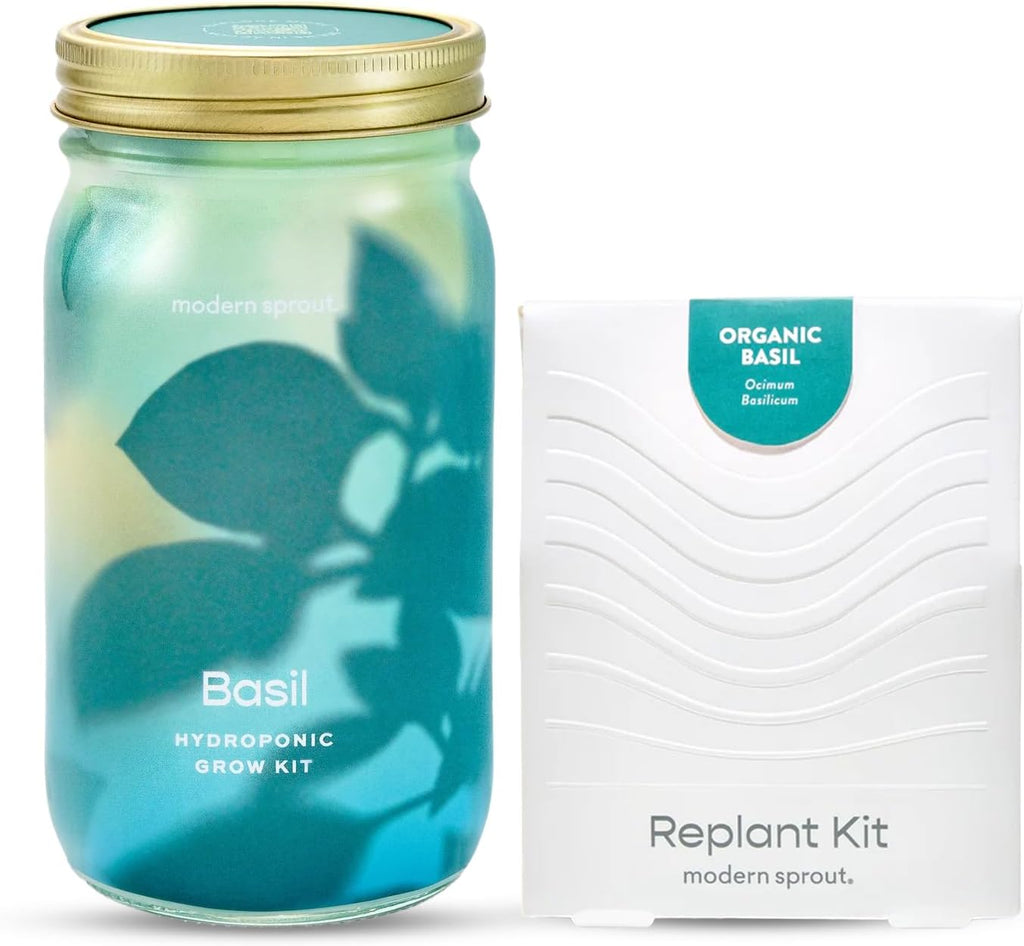 Modern Sprout Garden Jars - Organic Herbs Basil 1pk - Replant Kit | Heirloom Boulevard